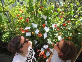 Labern übers eigene Land